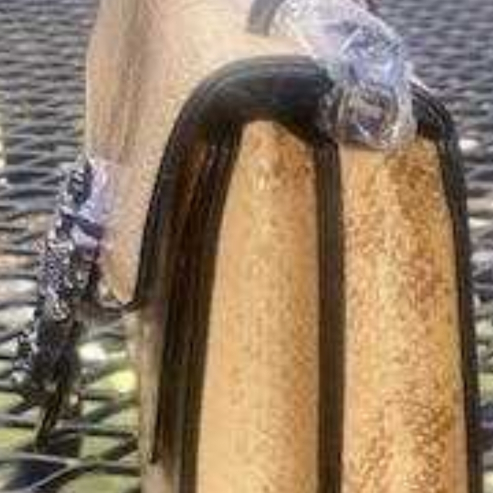 New snakeskin purse unused